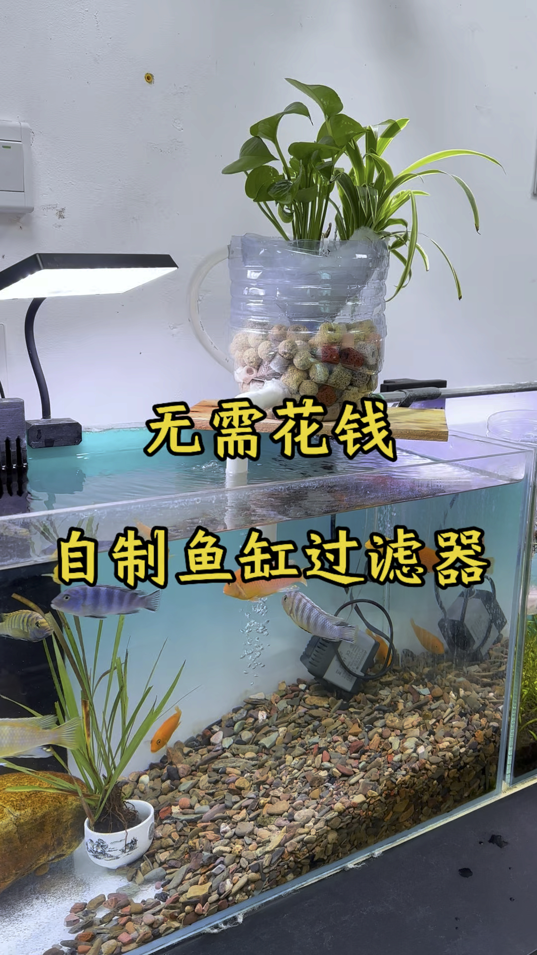 无需花钱,自制鱼缸过滤器