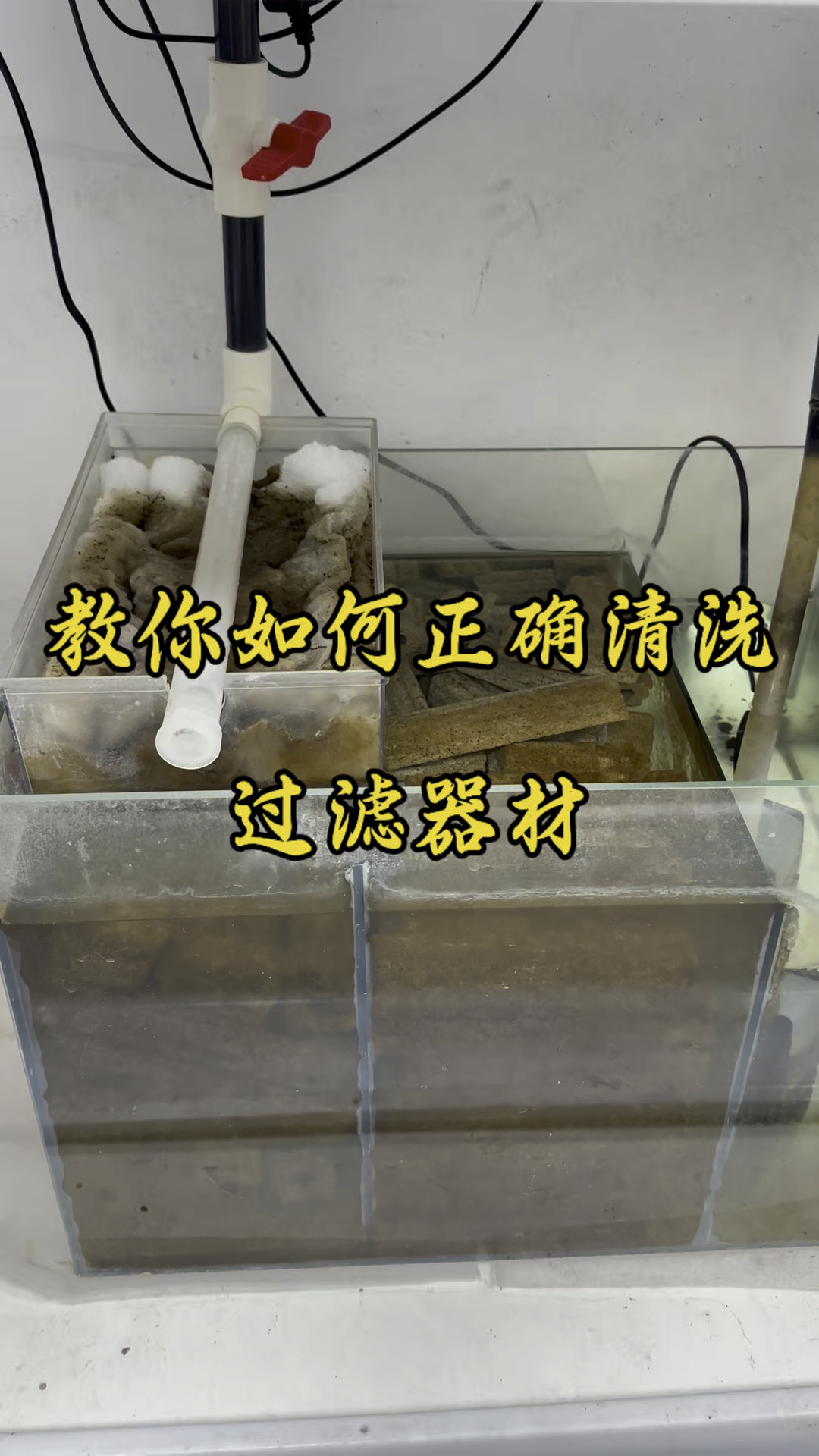 教你如何正确清洗鱼缸过滤器材