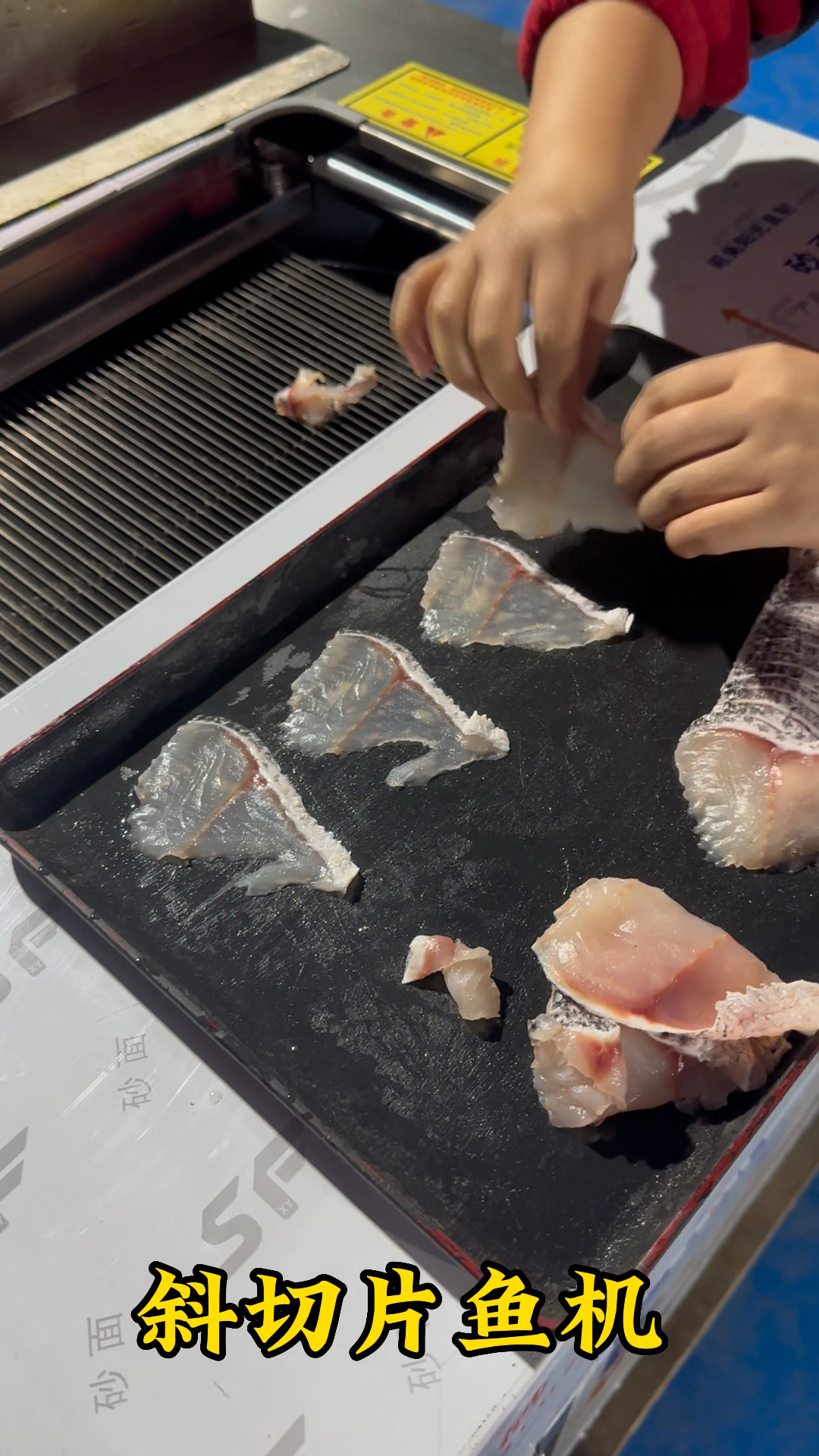 斜切片鱼机,切片机