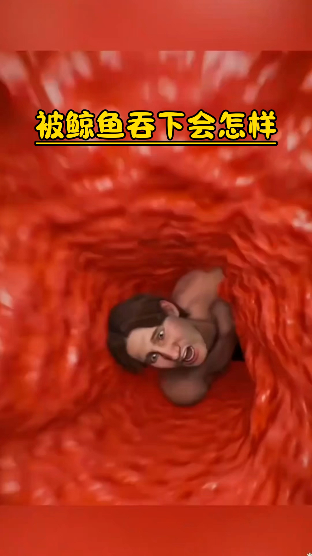 如果被鲸鱼吞下会发生什么