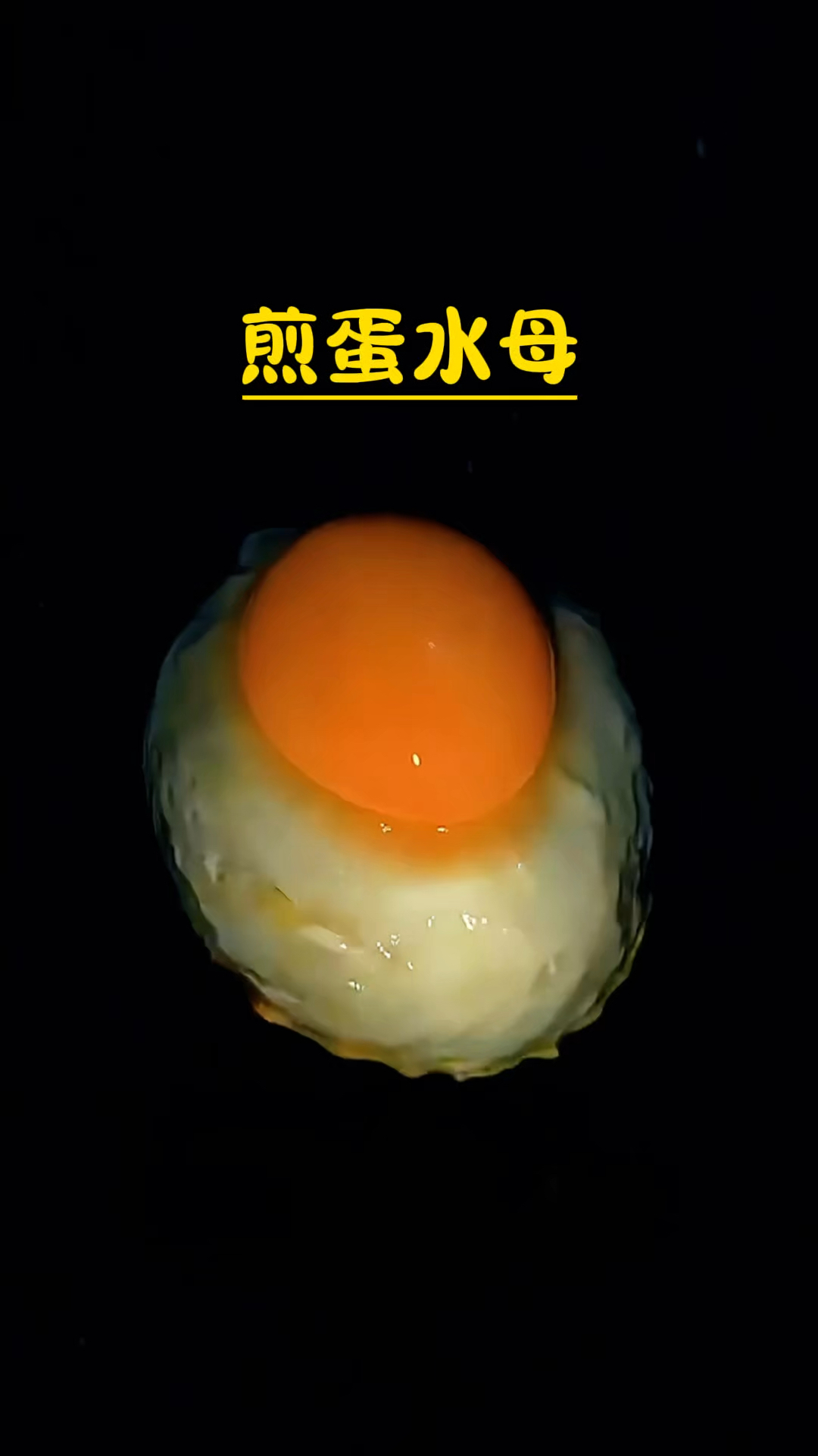 类似煎蛋一样的海洋生物