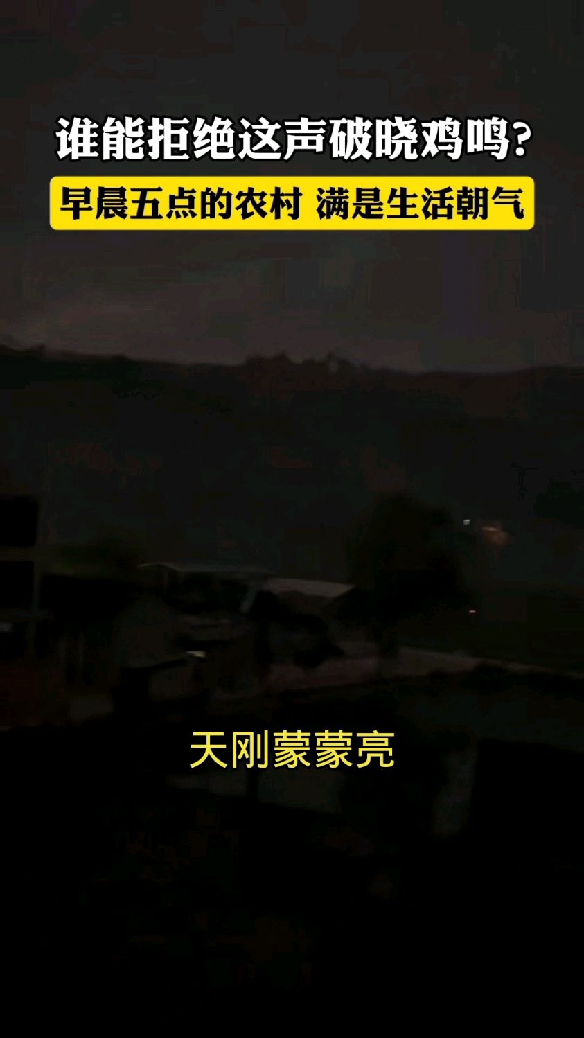 五点乡村,被一声鸡鸣唤醒#早晨的乡村