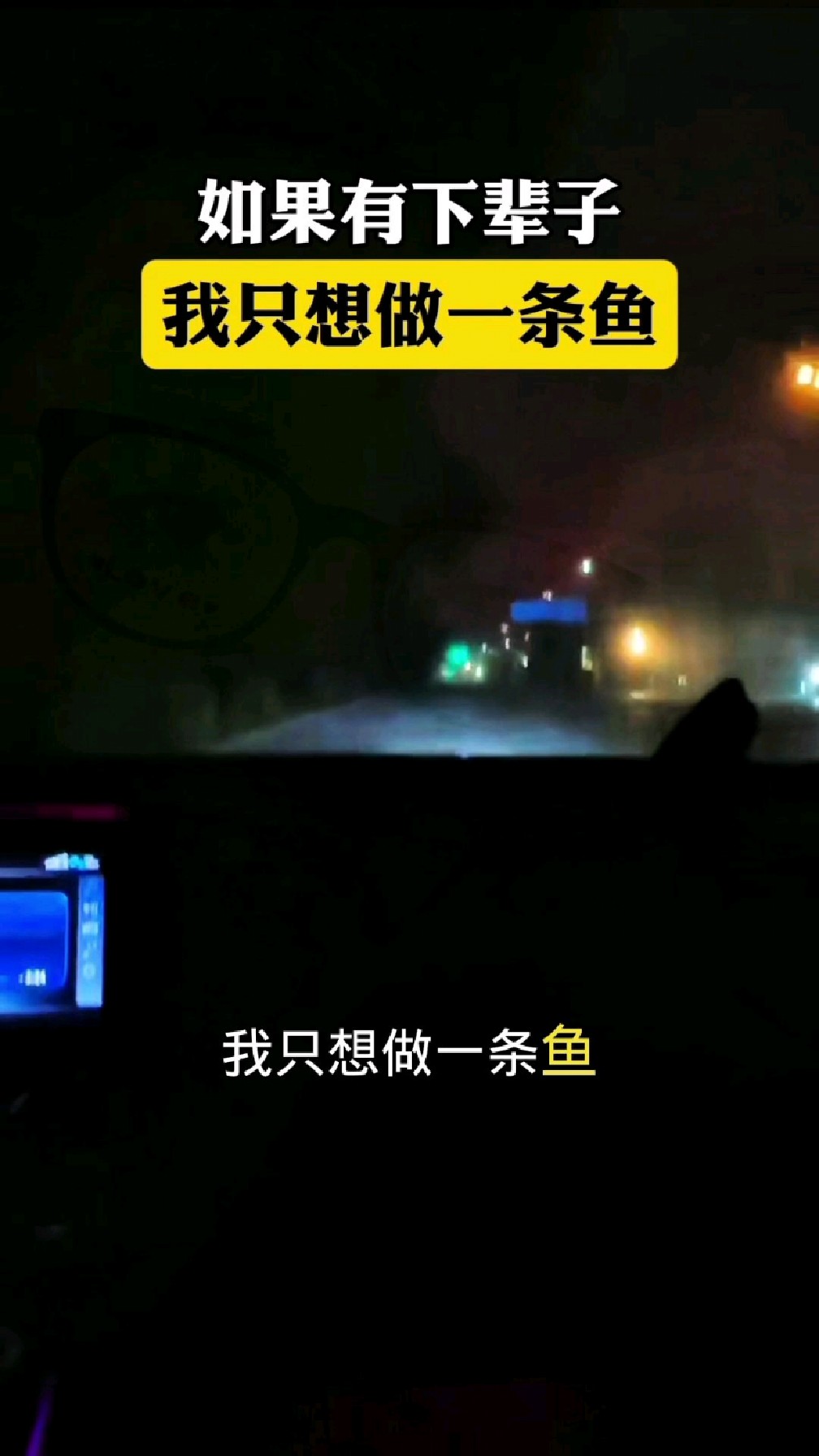 如果有下辈子我愿做一条鱼#会有下辈子吗?