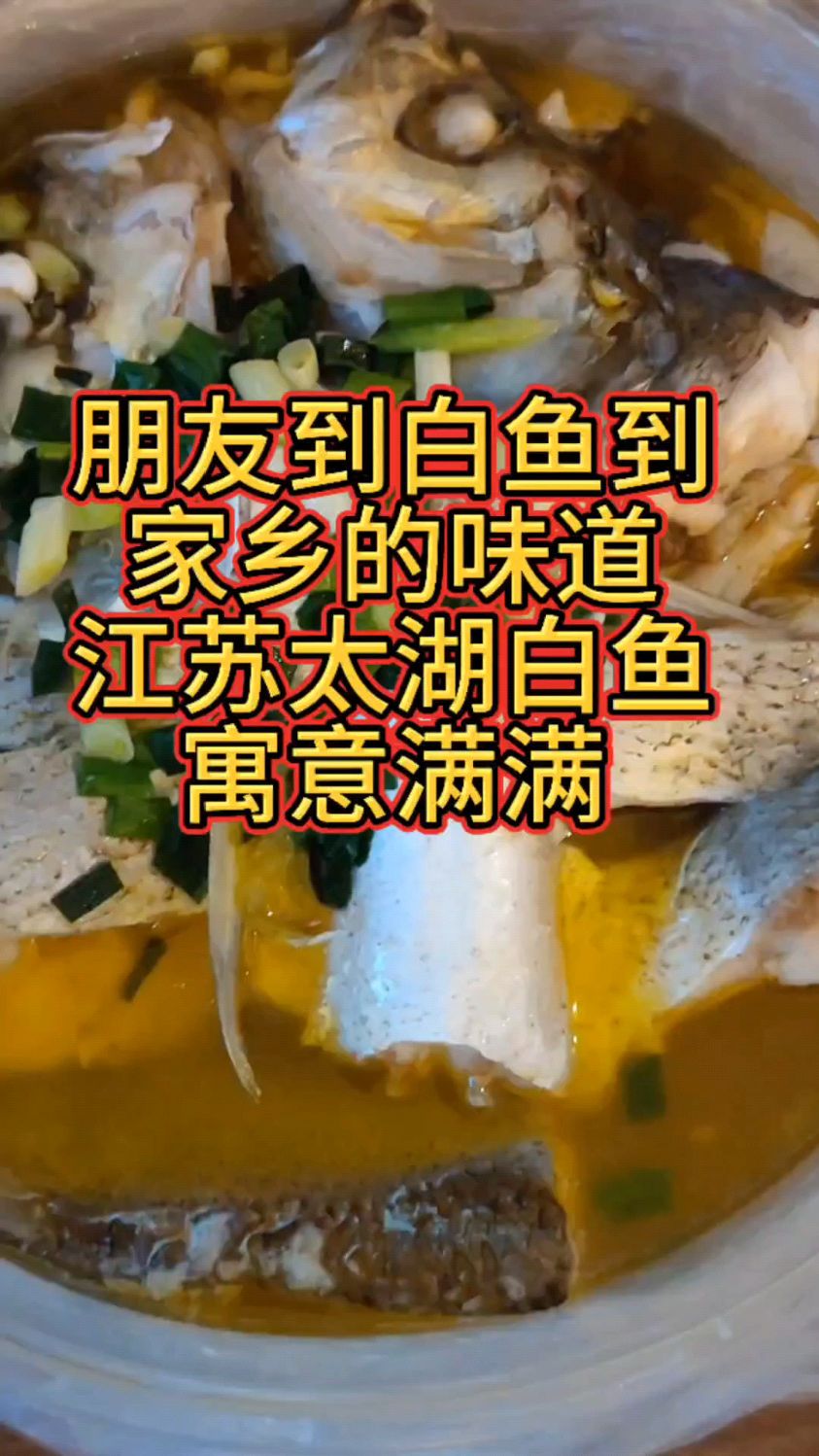 朋友到白鱼到,江苏太湖白鱼,家乡的味道,寓意满满
