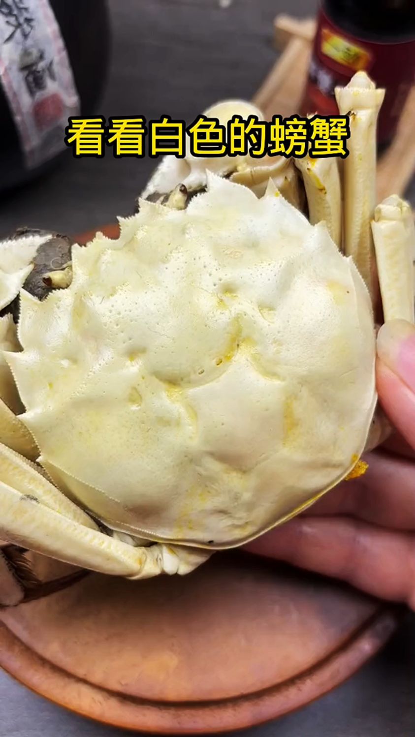 看看白色的螃蟹怎么样