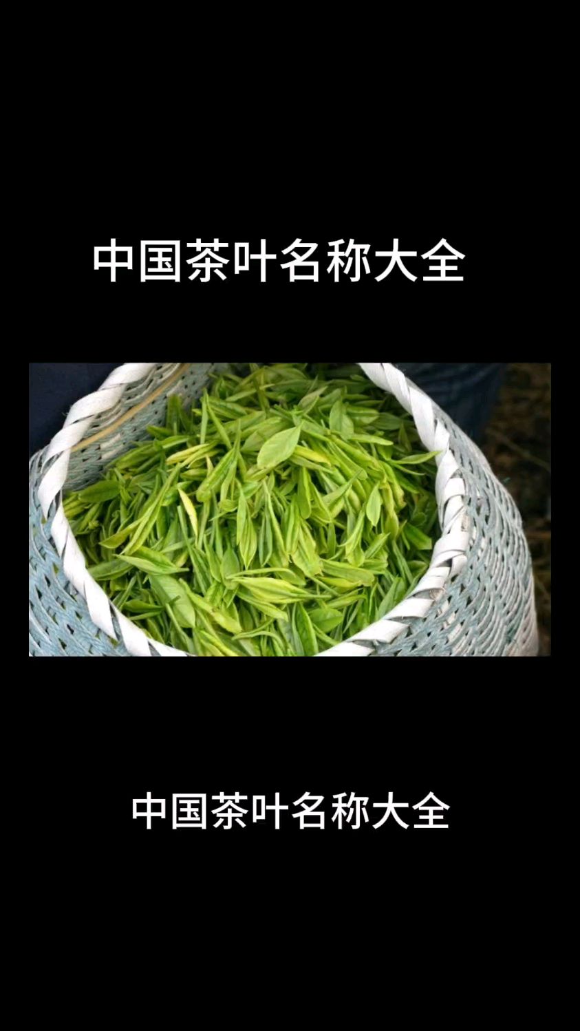 中国茶叶名称大全