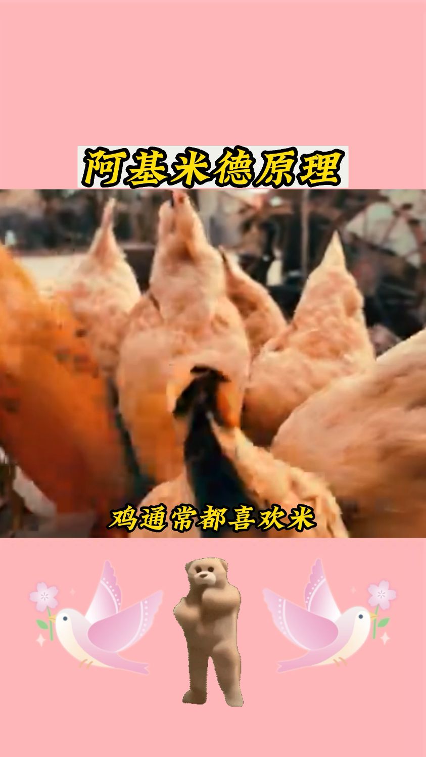 为什么鸡通常都喜欢米