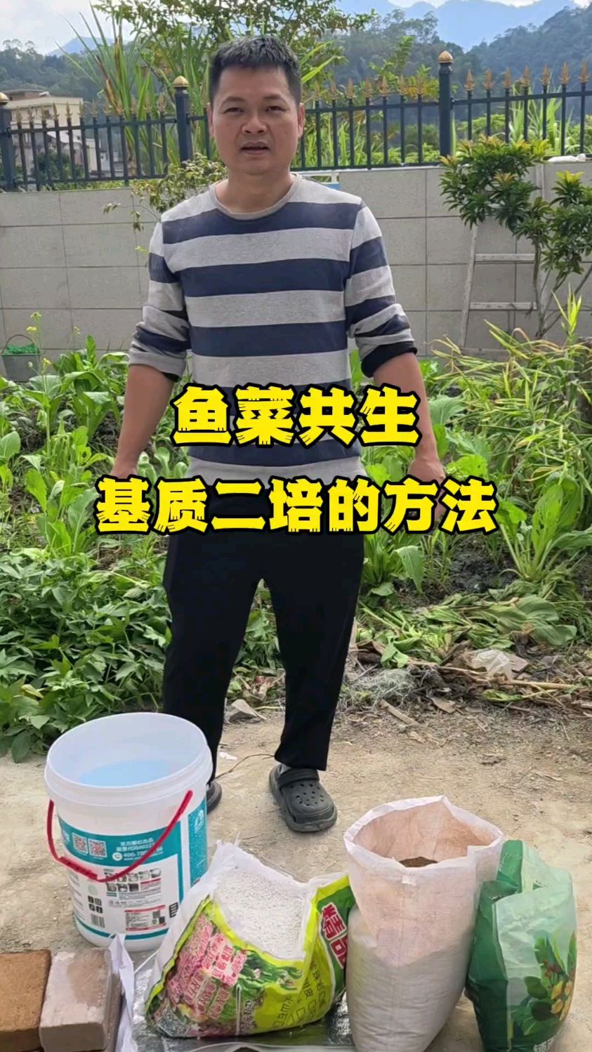 揭秘鱼菜共生一定要用的基质二配方法#鱼菜共生#智慧农业#家庭农场
