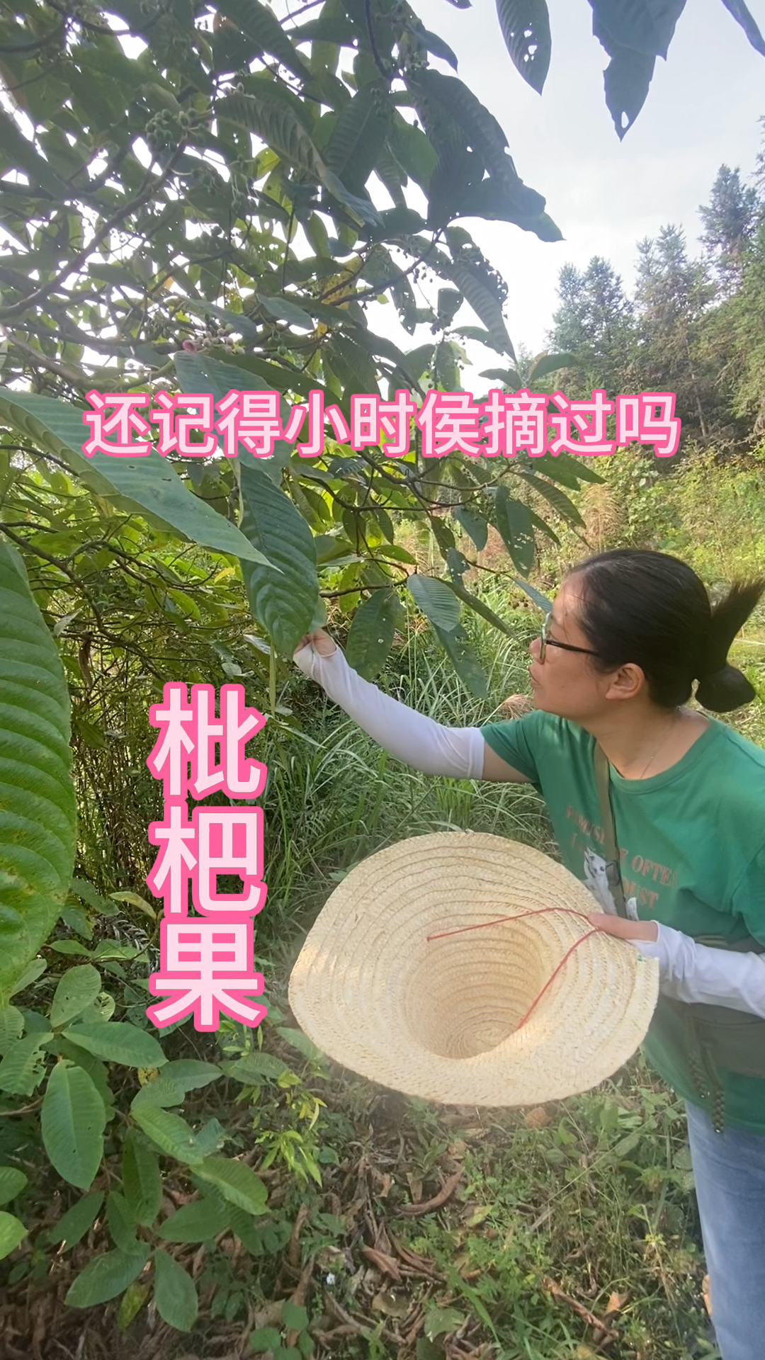 70.80后的农村小伙伴,吃过这野果的举手