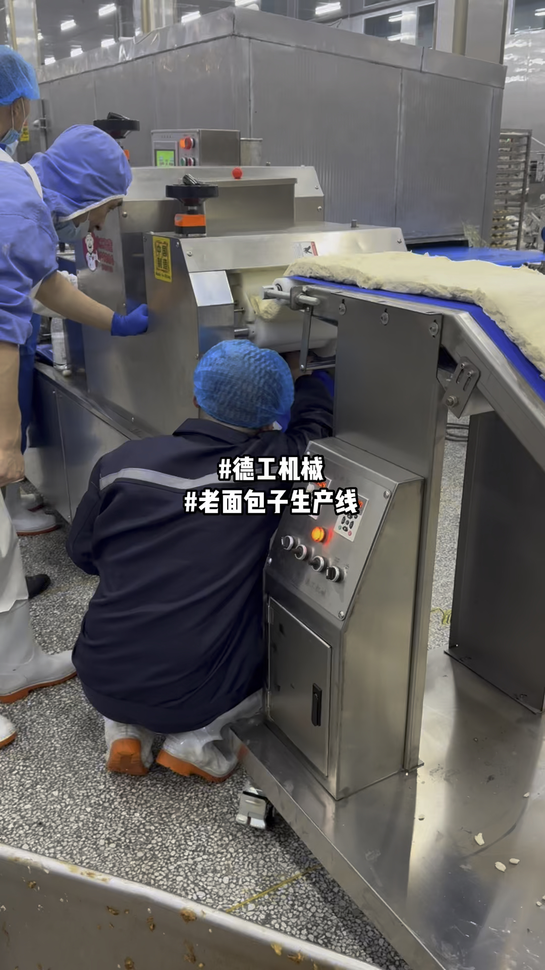 老面馅肉饼包子摆盘生产线自动化