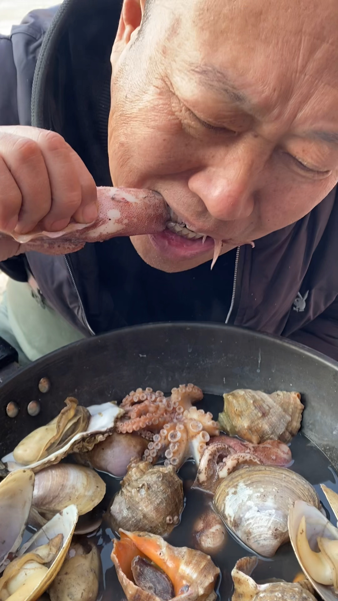 海兔,鱿鱼,八爪鱼,你能分清楚吗?