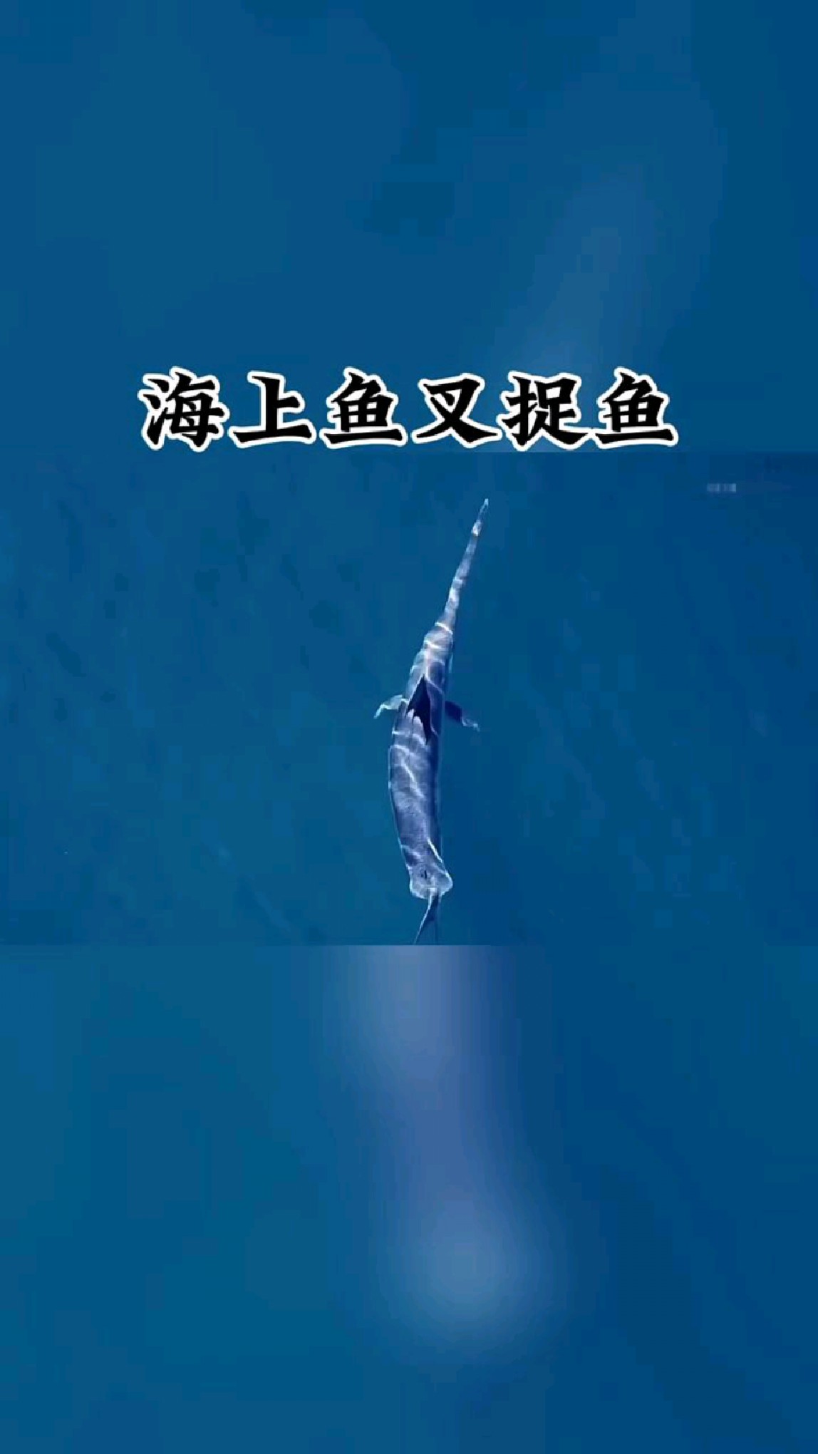 海上用鱼叉叉鱼你见过吗!
