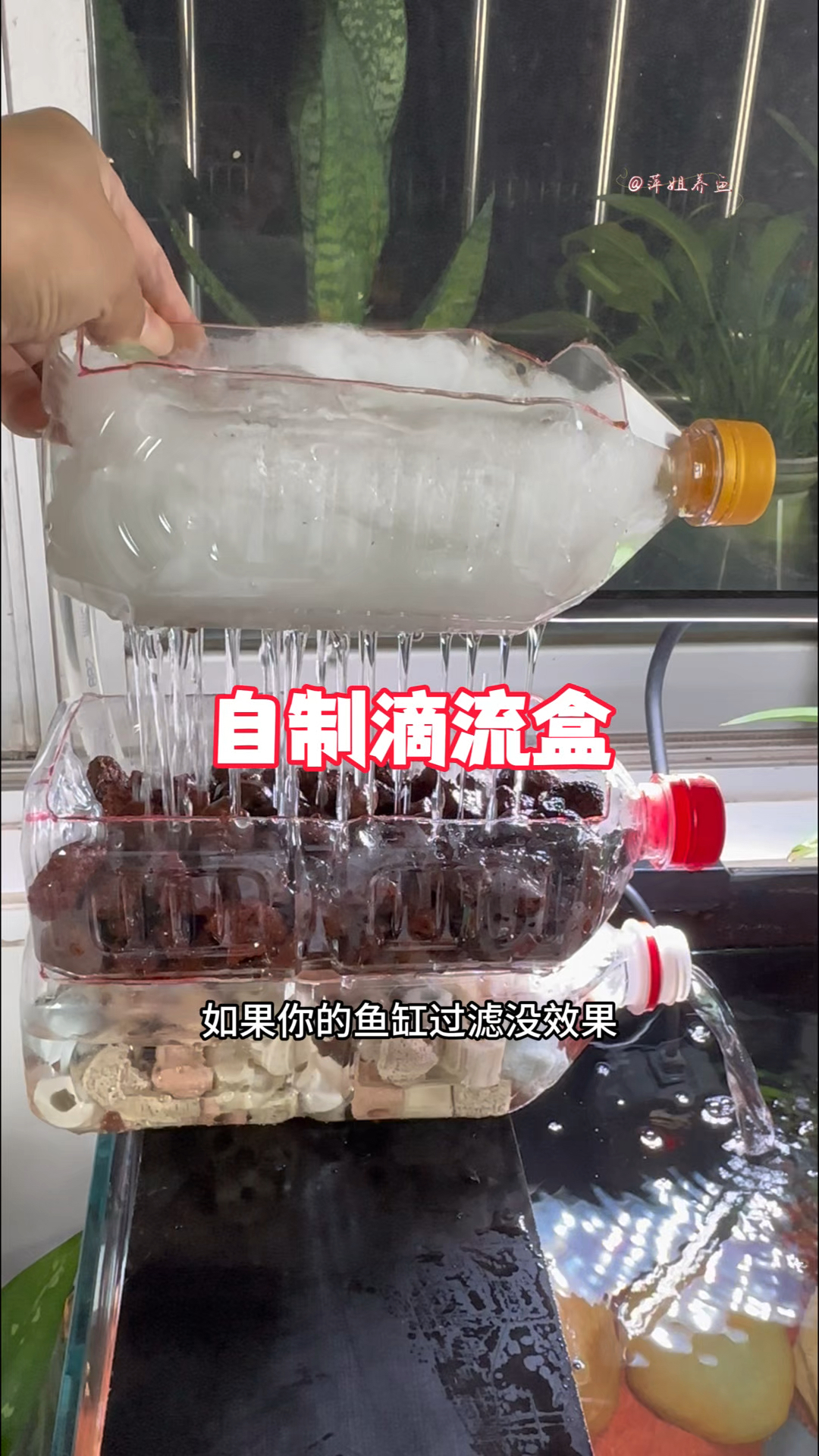 如果你的鱼缸过滤没效果,不如试试这个不花钱的滴流盒过滤#手工