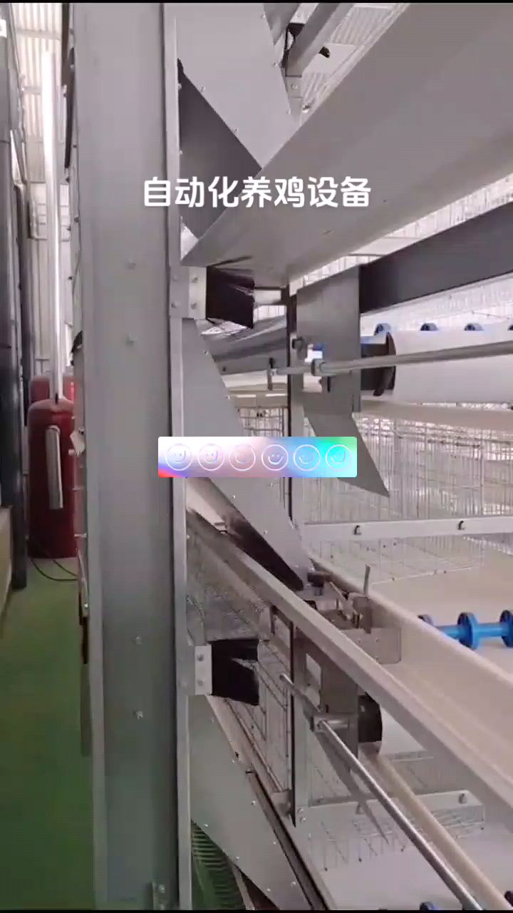 养鸡场养鸡设备,自动化蛋鸡笼肉鸡笼养设备,热镀锌鸡笼,层叠式鸡笼