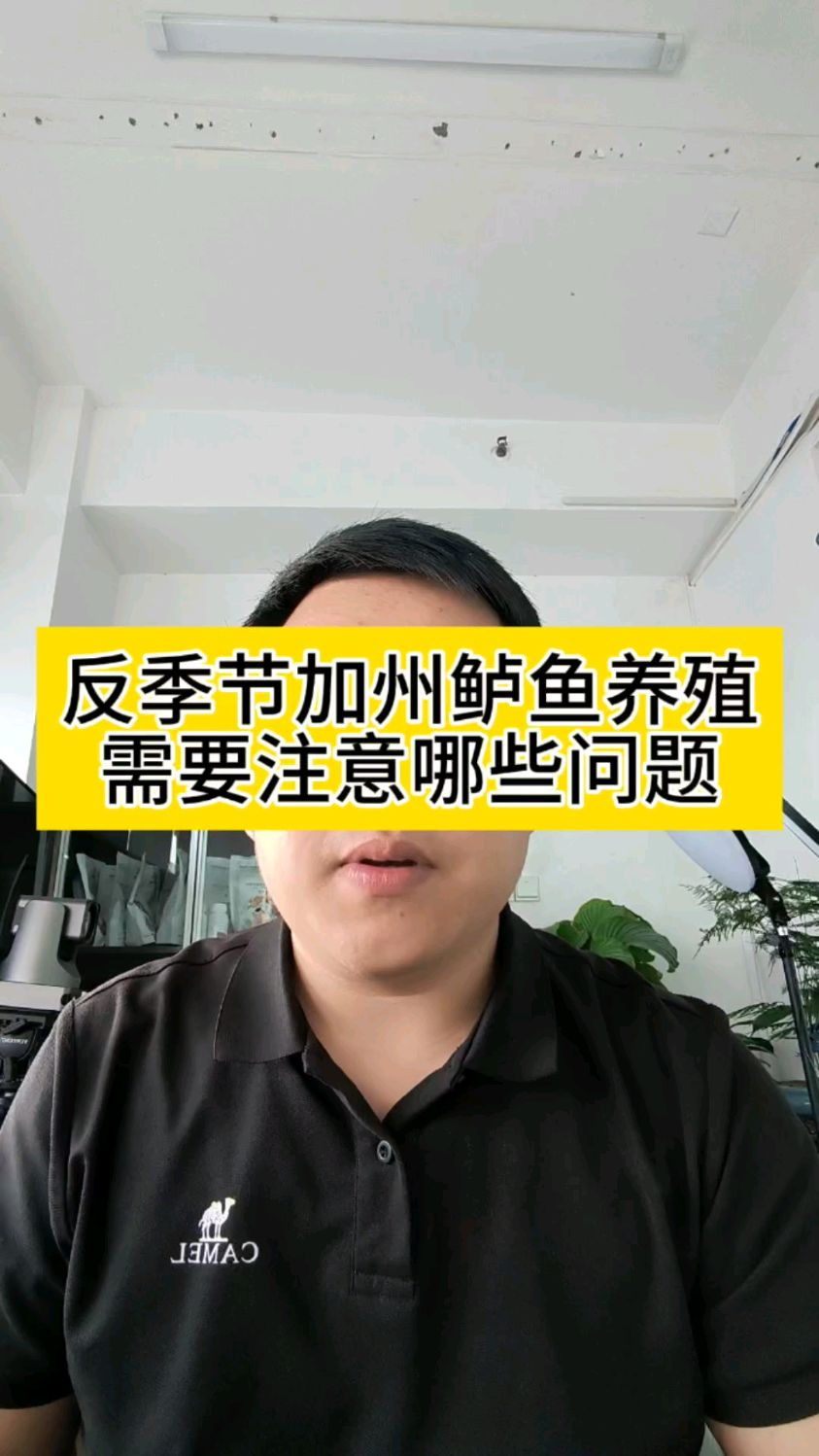反季节养殖加州鲈鱼需要注意哪些问题