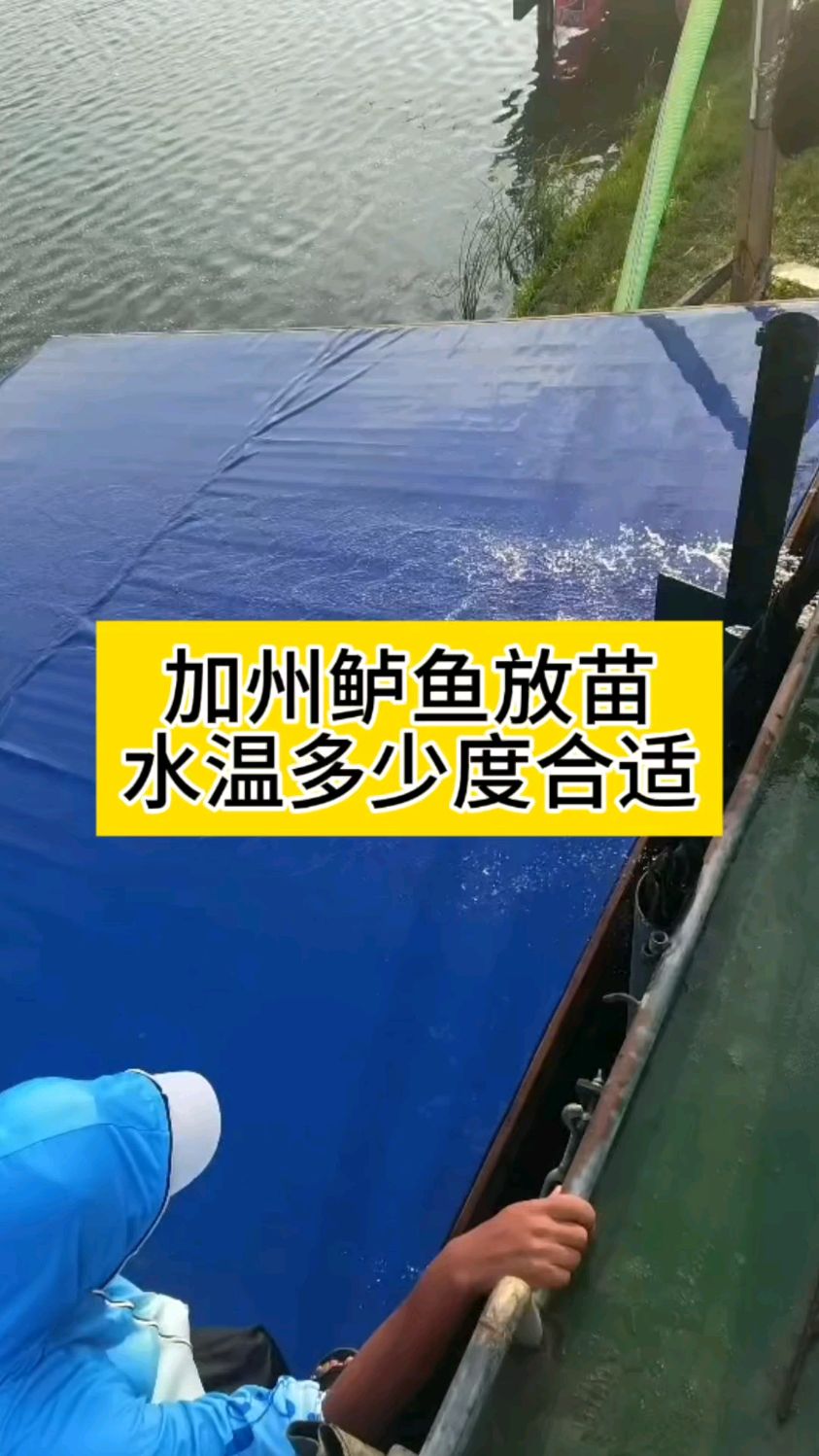 加州鲈鱼放苗水温多少度合适