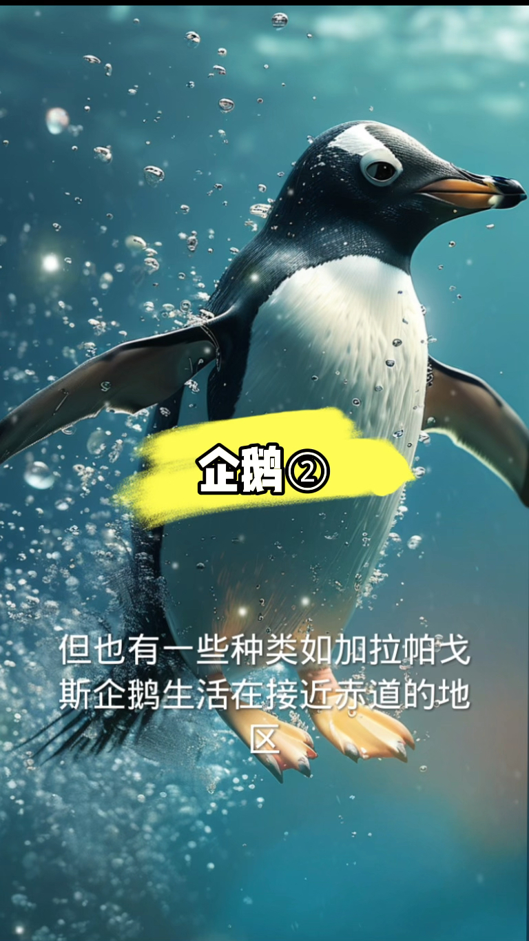 企鹅第二集开始播放了