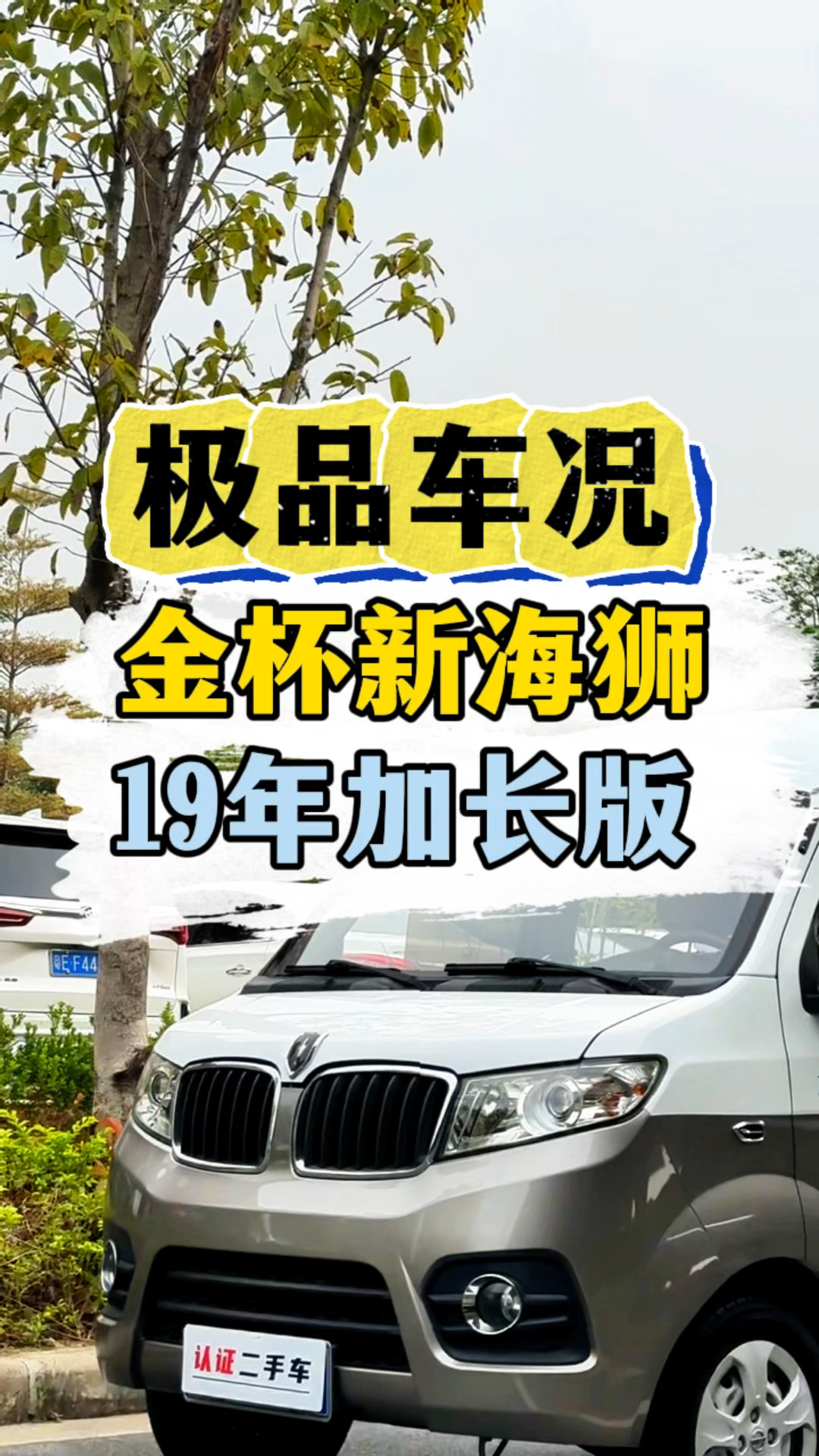 金杯新海狮,车靓价不高。