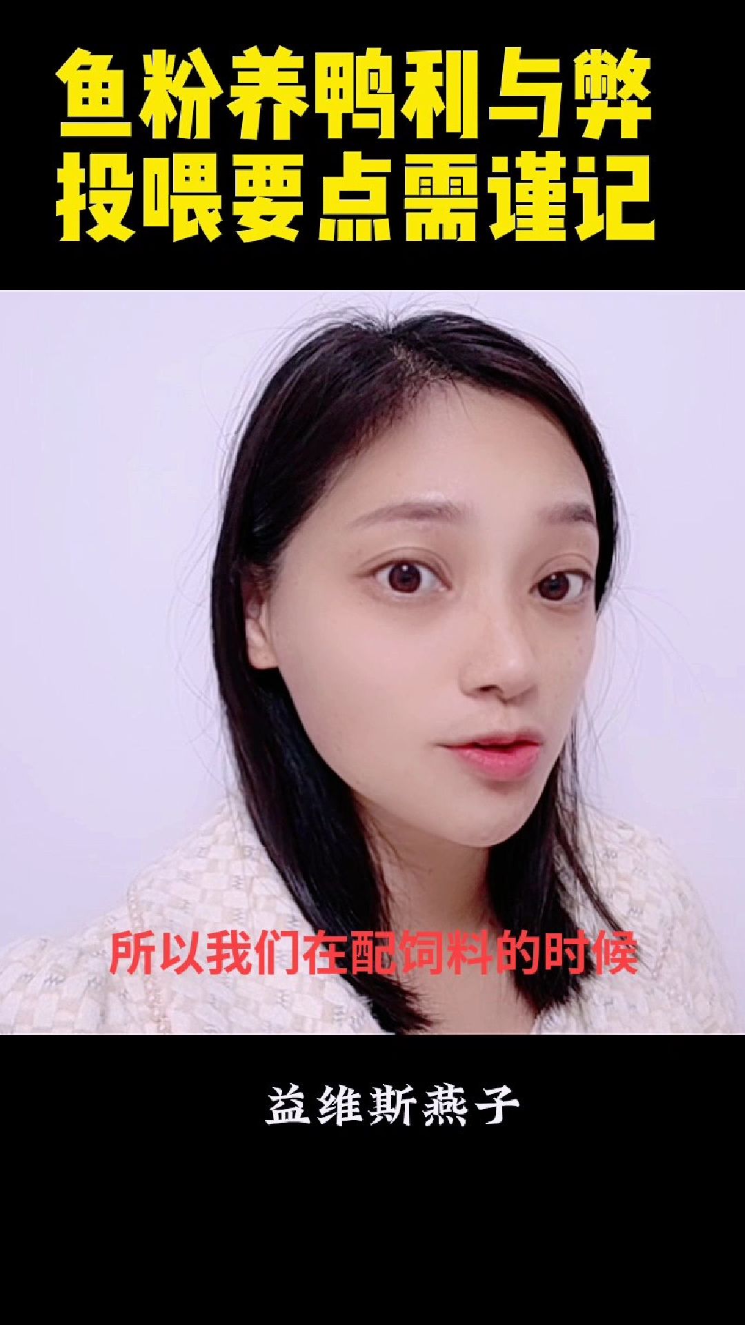 鱼粉养鸭利与弊,投喂要点需谨记!