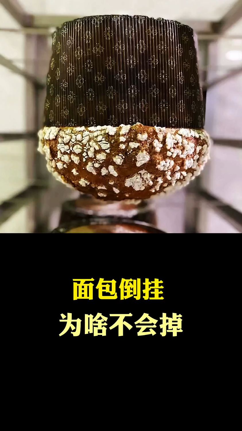 面包倒挂为啥不会掉