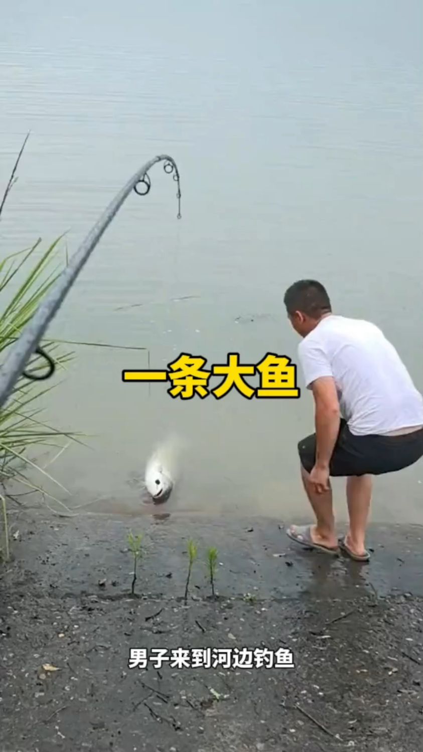 在河边钓上来一条大鱼