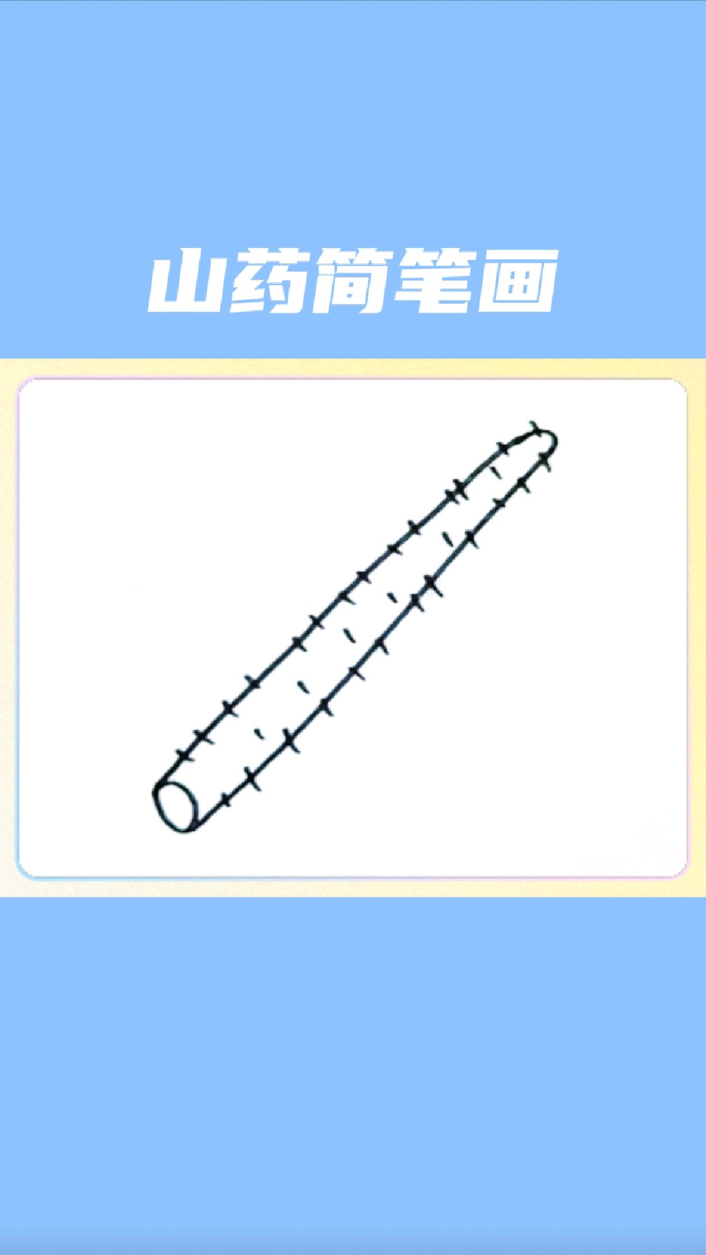 山药简笔画怎么画