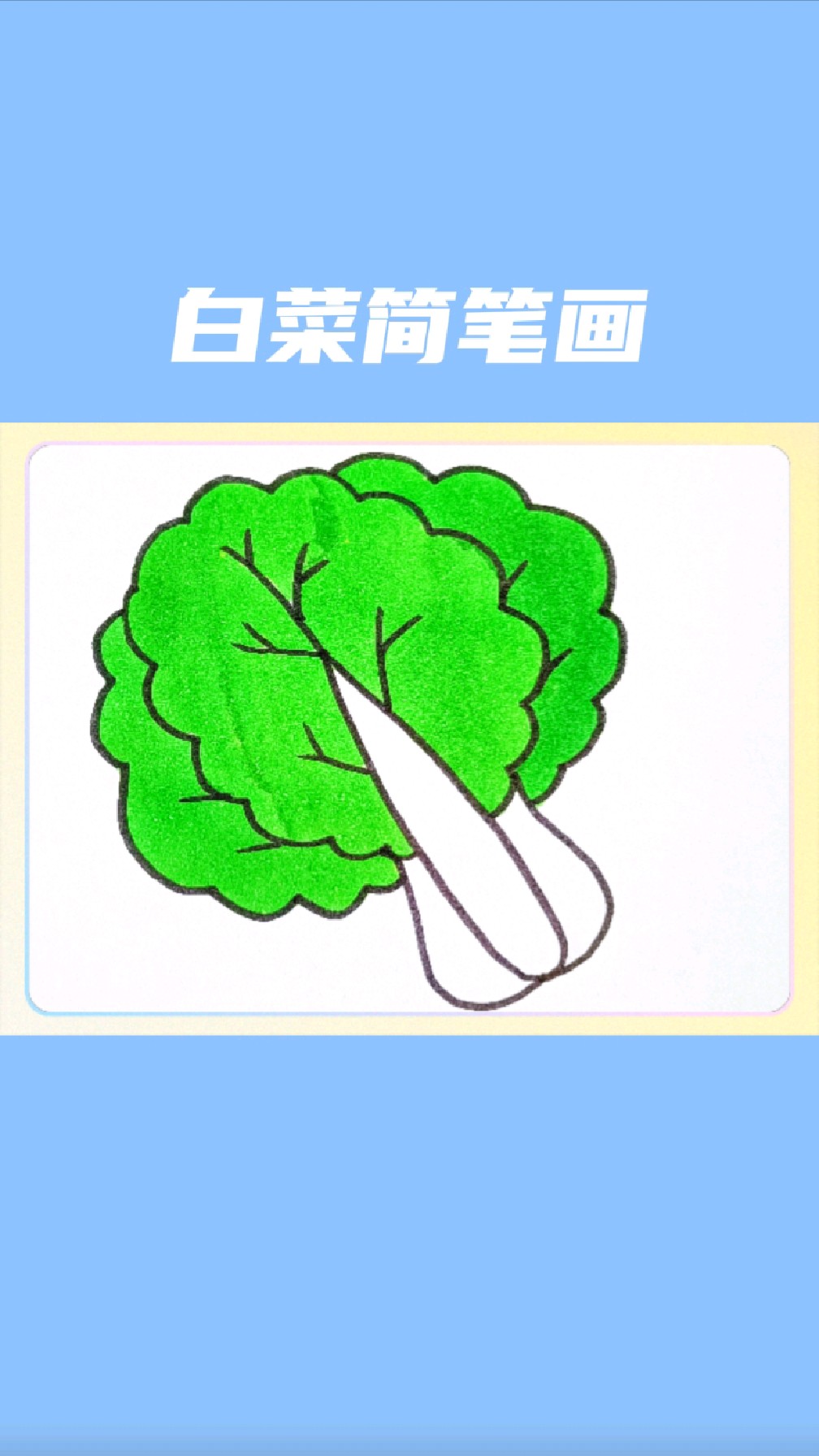 白菜简笔画怎么画