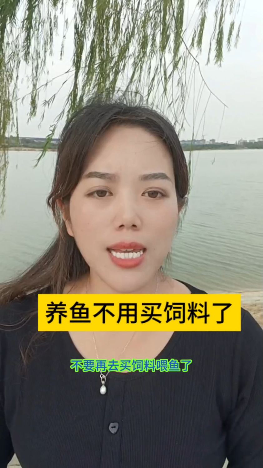 不用再买饲料喂鱼