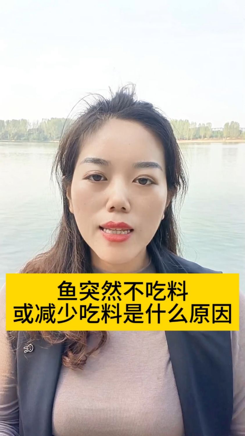 鱼突然不吃料或减少吃料是什么原因