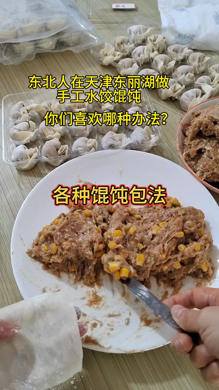 各种馄饨包法看过来,东北人在天津东丽湖做手工水饺馄饨