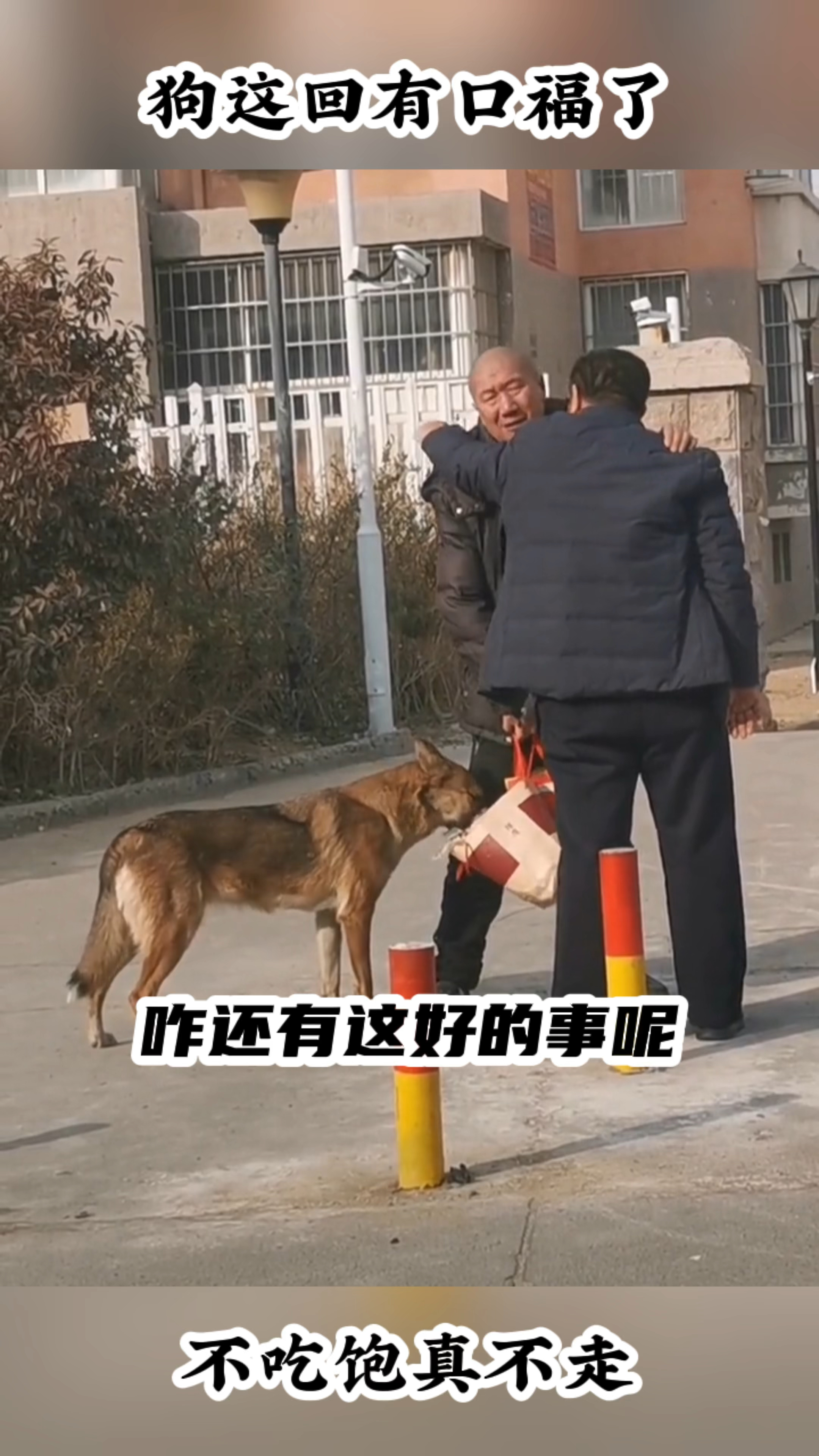 咋还有这么好的事呢