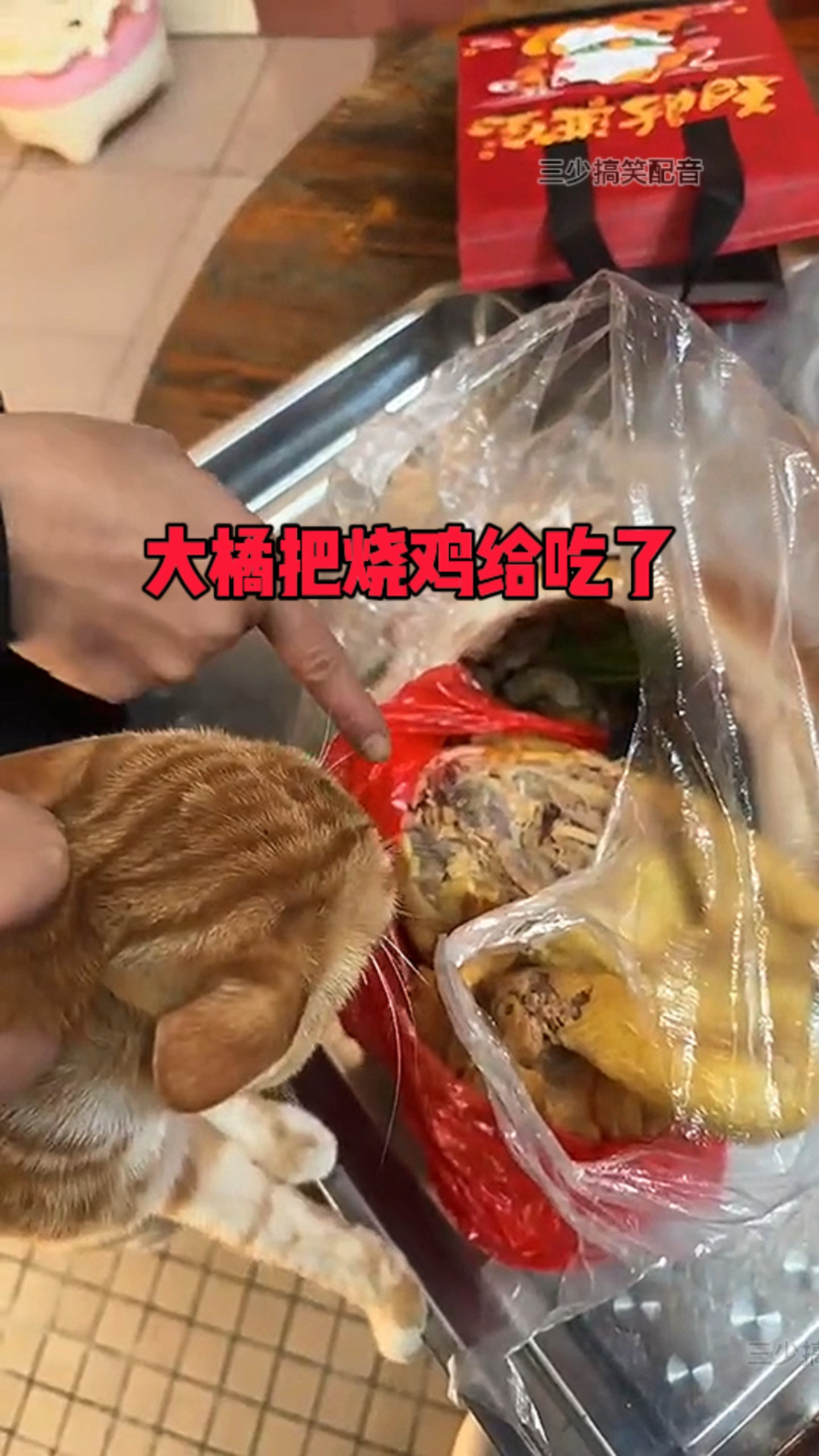 大橘把烧鸡给吃了