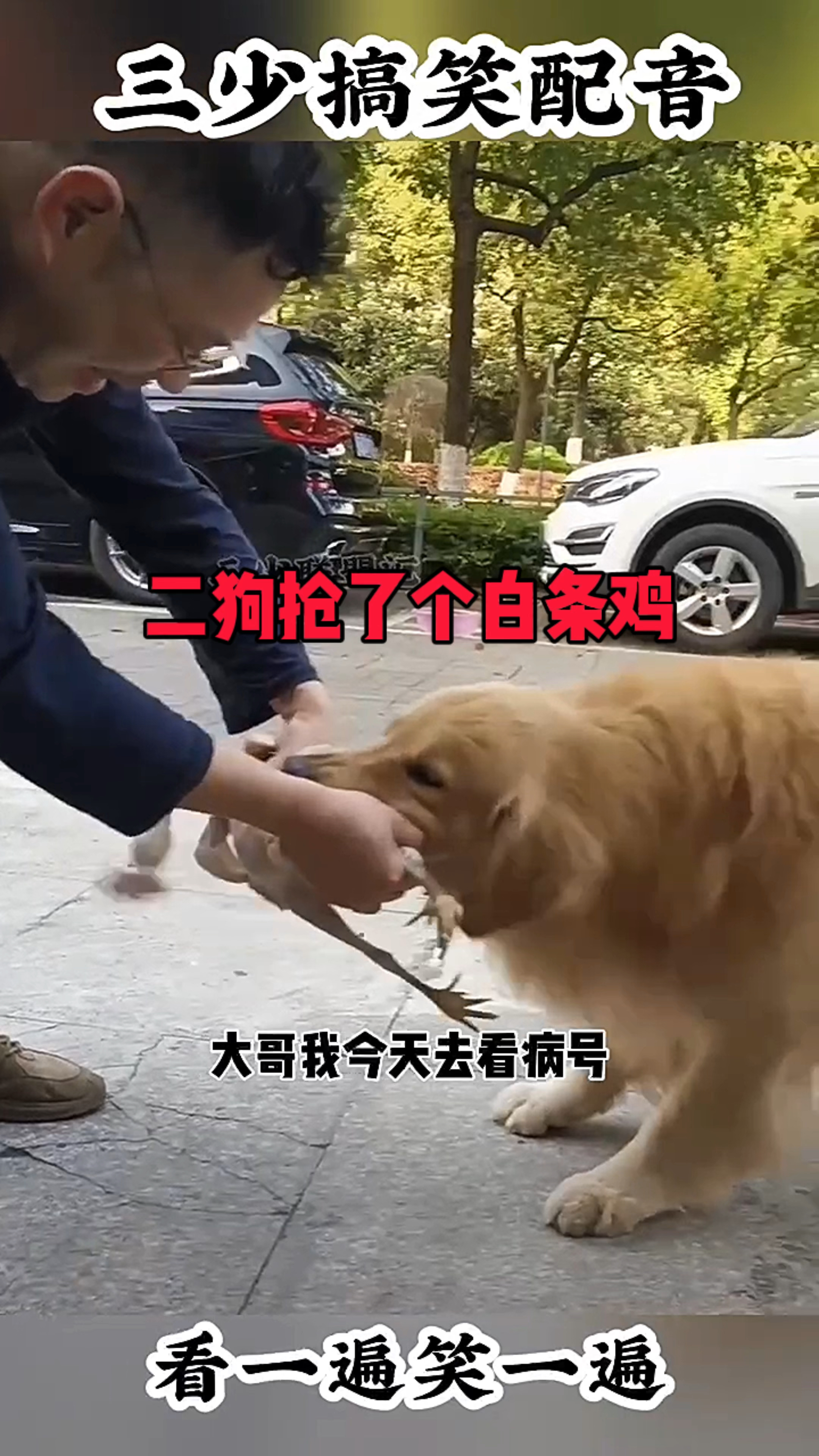二狗抢了个白条鸡