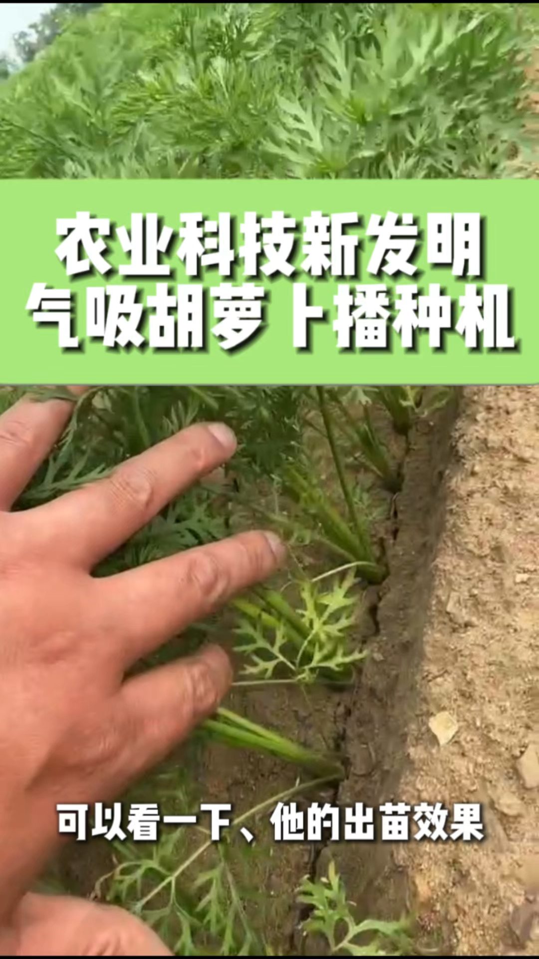 胡萝卜播种机一机多用省时高效现代化农业理解蔬菜播种机