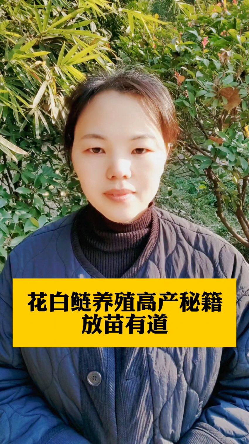 花白鲢养殖高产秘籍放苗有道