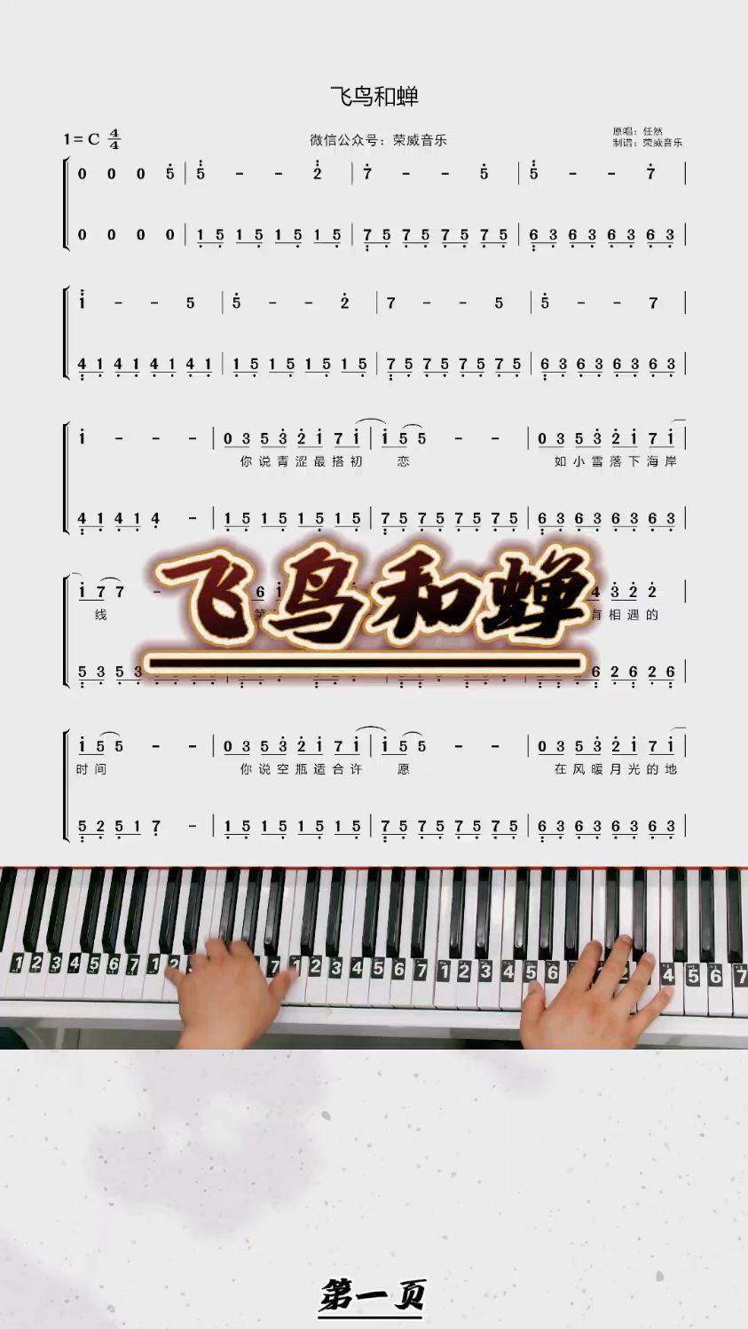 《飞鸟和蝉》钢琴教学双手简谱
