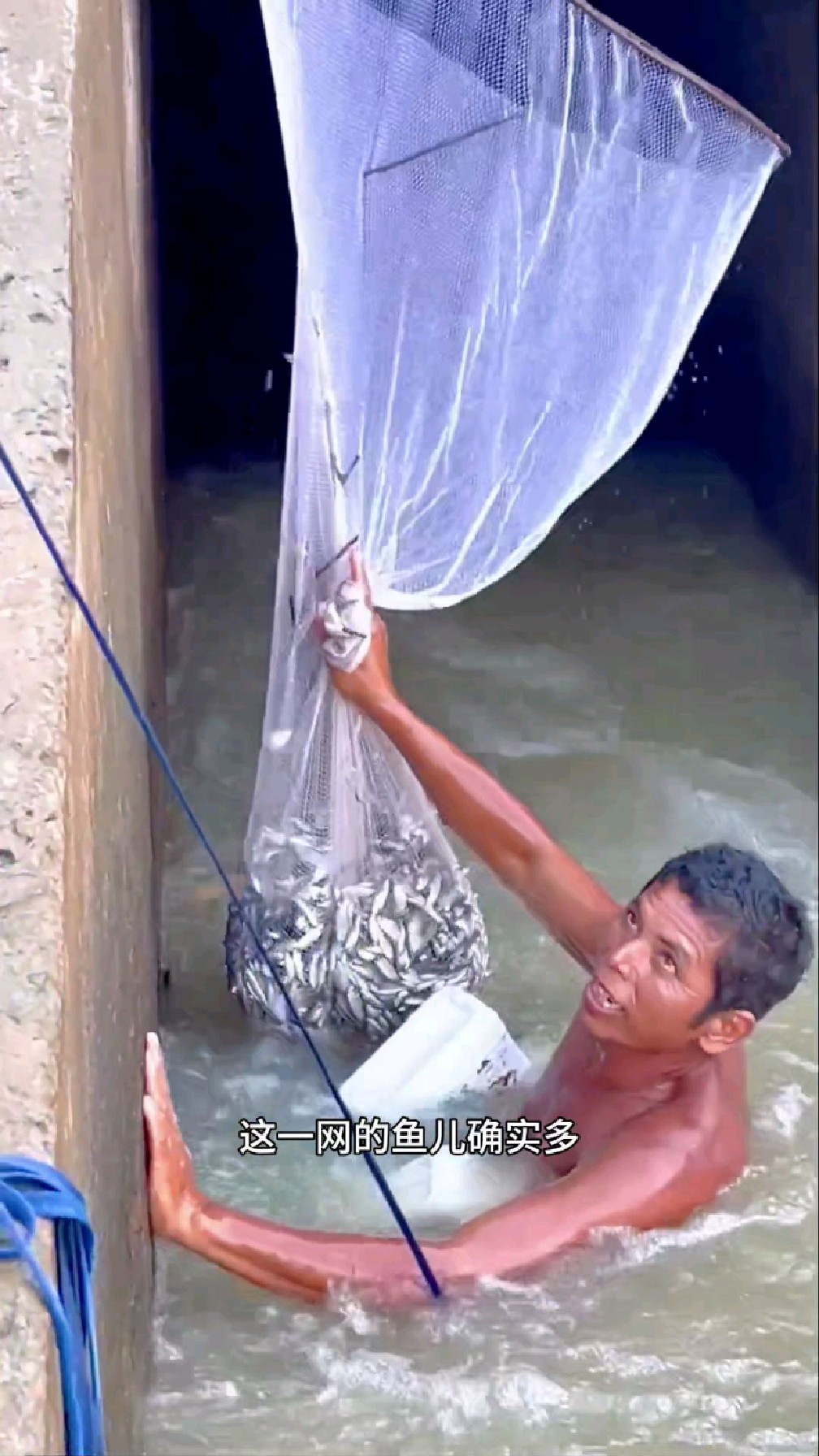渔民冒着生命危险进桥洞里捕鱼,一网收获好几斤鱼儿
