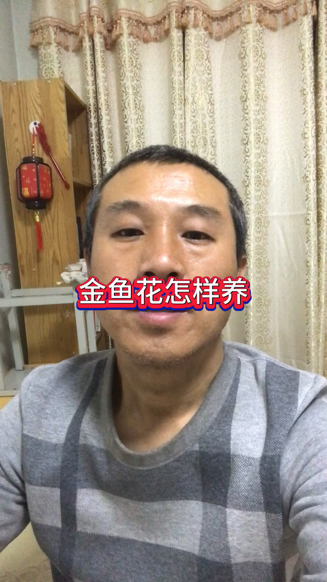 金鱼花怎样养#养花 #盆栽 #花卉绿植 #养花小知识