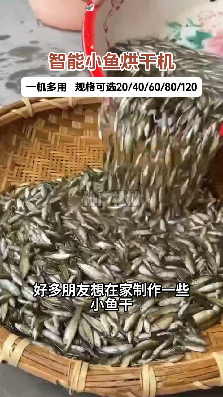 智能小鱼干烘干机