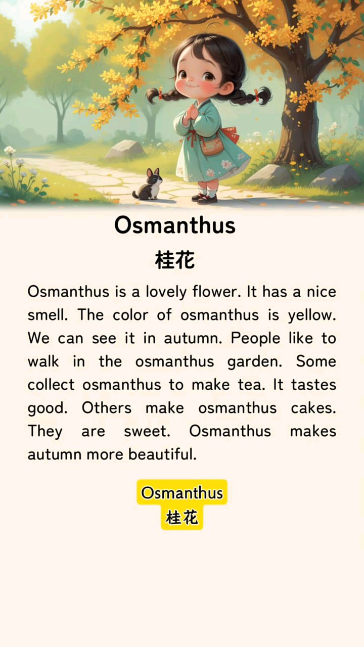 英语小作文每天一篇