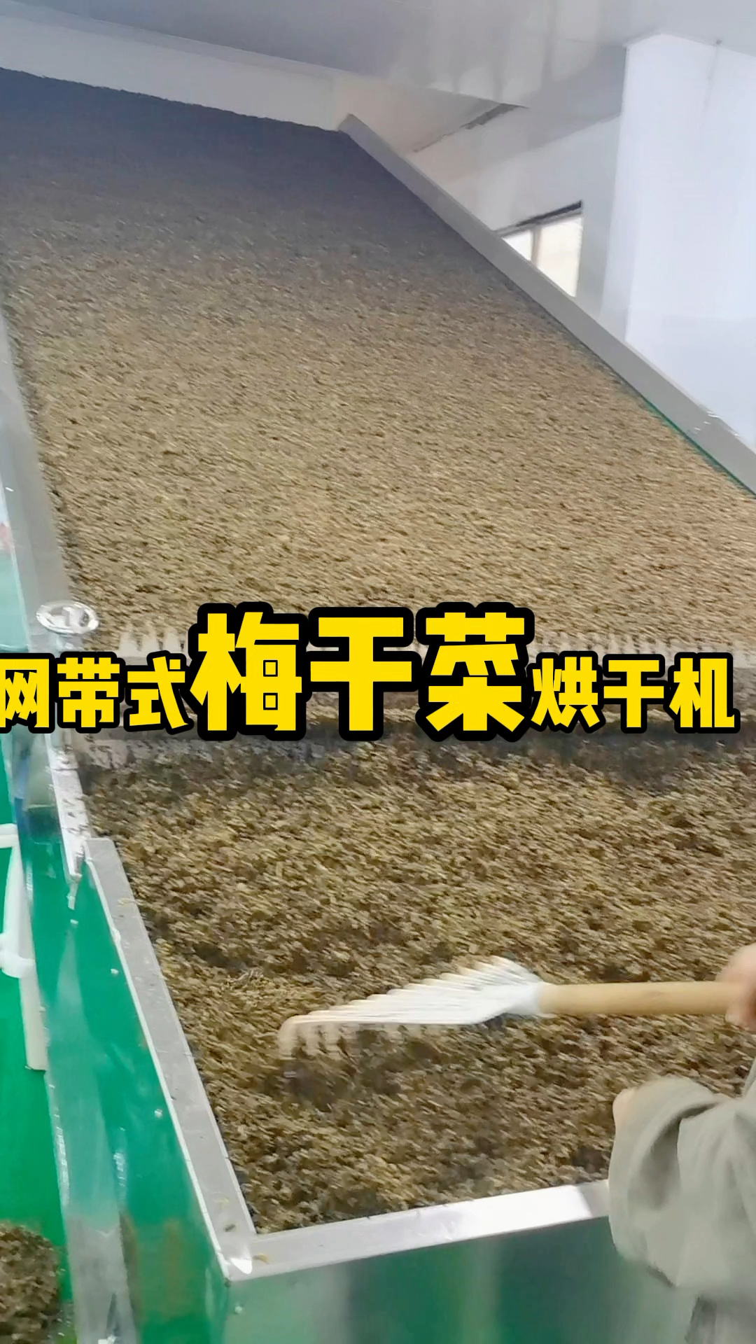 #梅干菜烘干机 #梅干菜烘干设备#梅干菜加工 #蔬菜烘干机 #萝卜烘干机