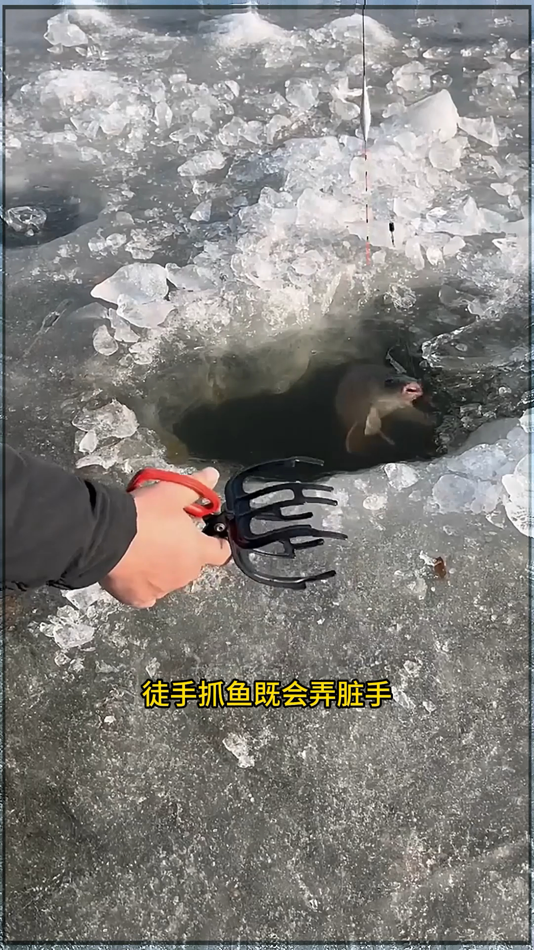 钓鱼夹子#鱼活夹 #钓鱼抓鱼器