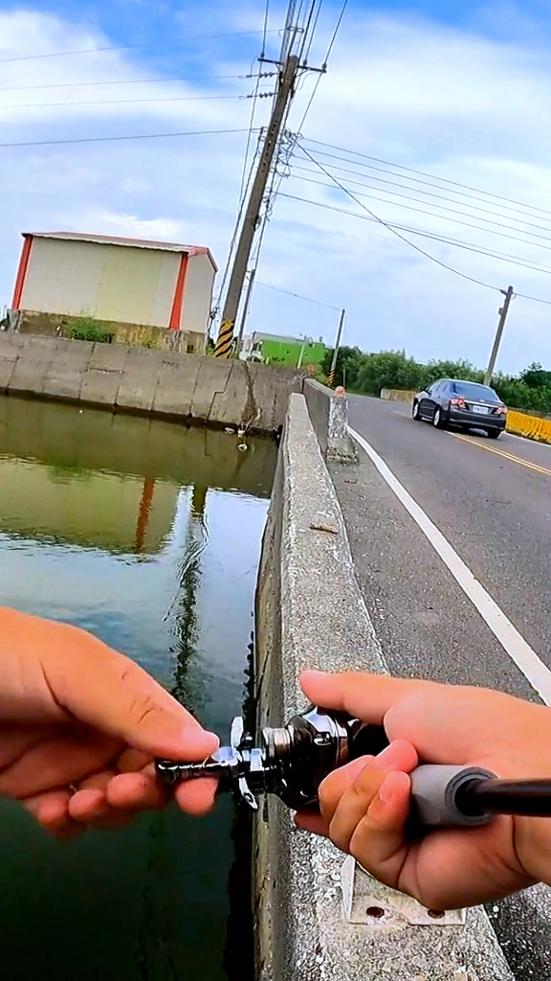 小河沟竟能钓到名贵海鱼,抛下第一竿就中鱼,半小时钓了一箱子鱼
