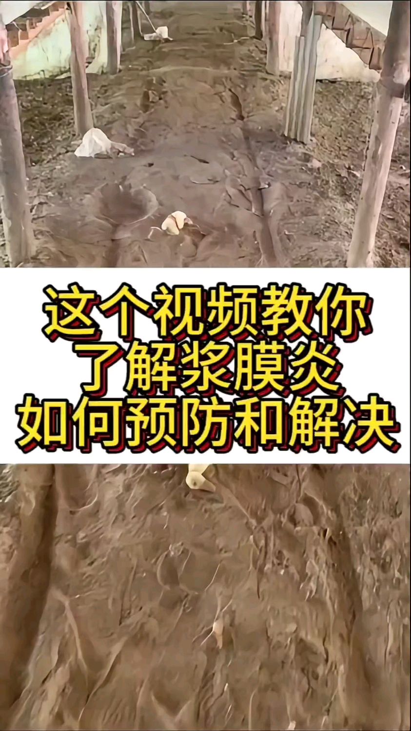 这个视频教你了解浆膜炎如何预防和解决