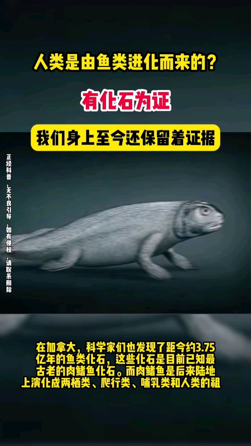 人类是由鱼类进化而来的?有化石为证!我们身上至今还保留着证据