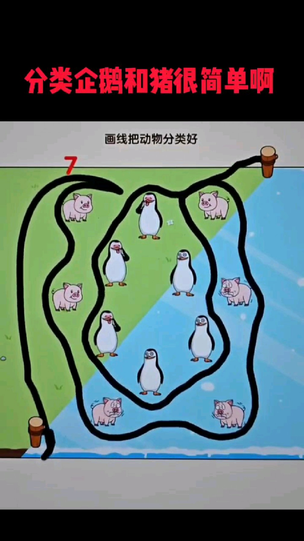 分类企鹅和猪很简单啊