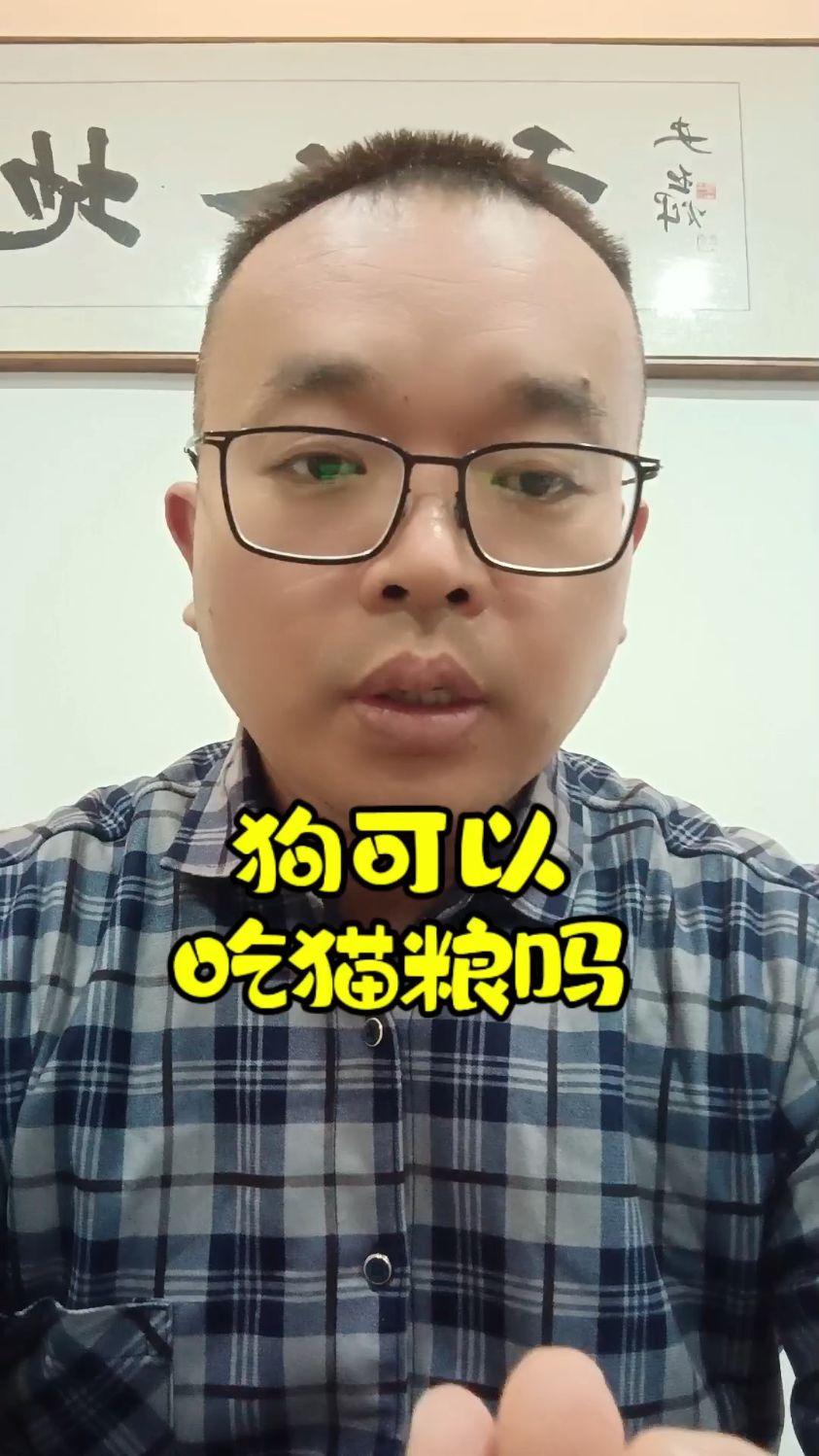 狗狗可以吃猫粮吗