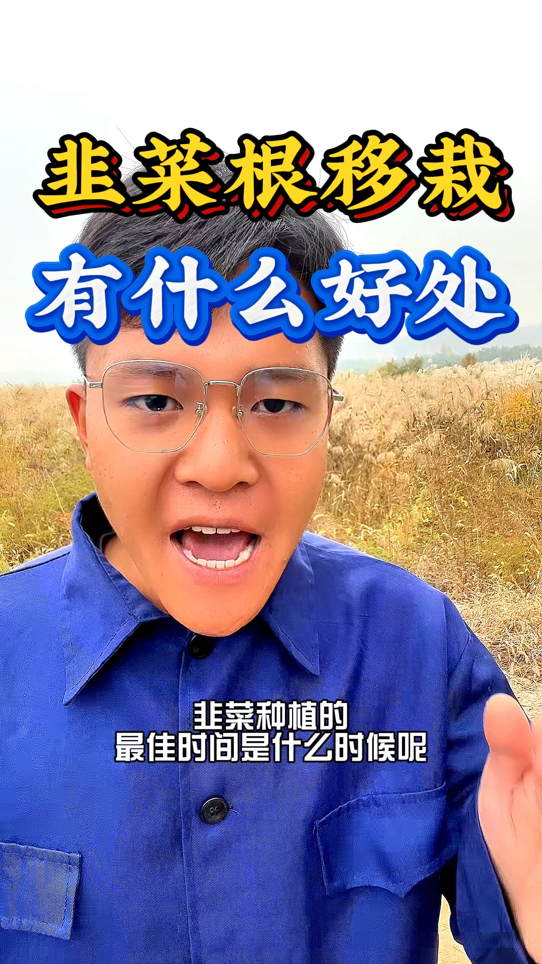 韭菜种植最佳时间和韭菜根移栽的好处是什么?