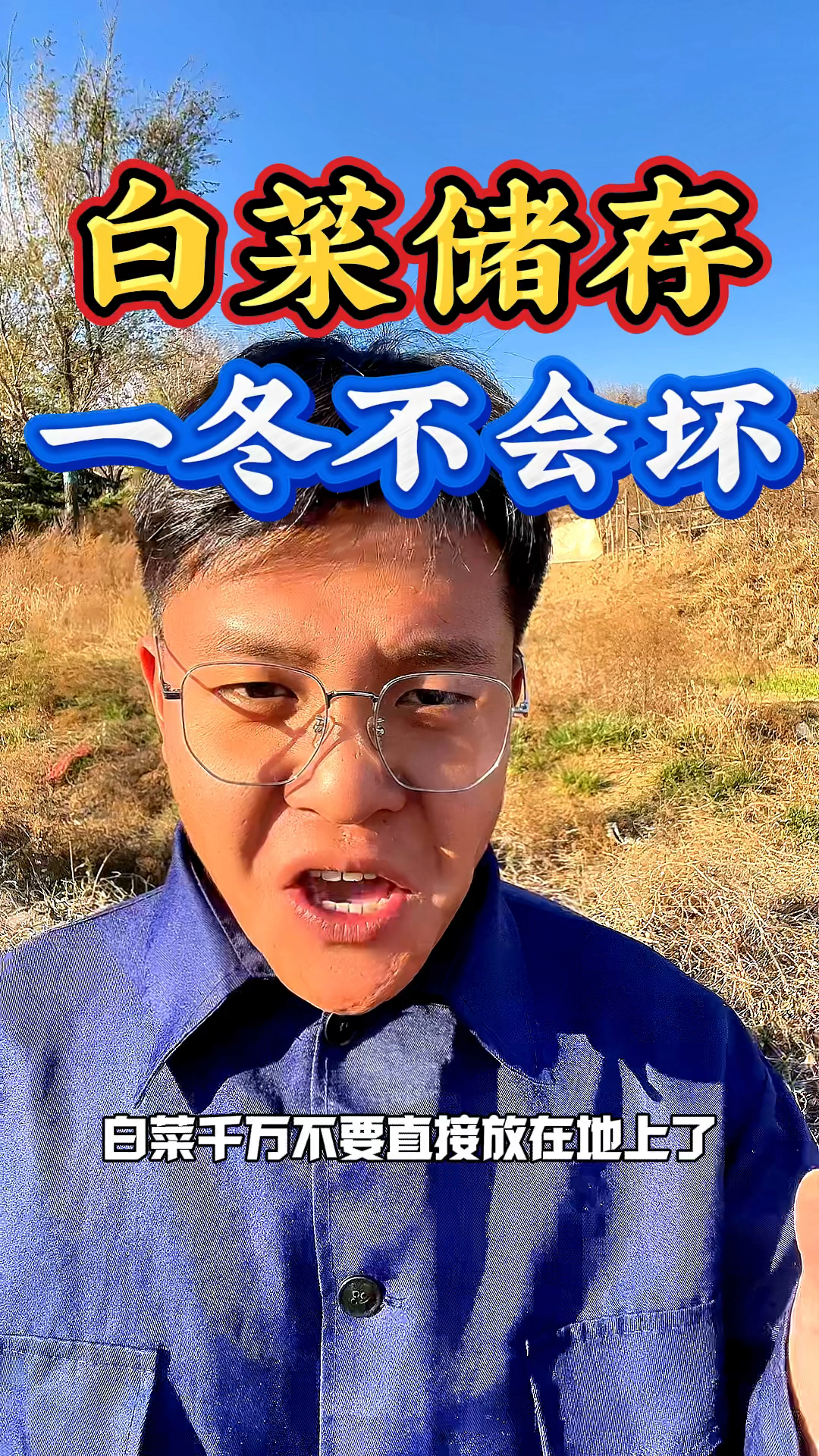 白菜不要放地上了,简单的储存白菜方法,适合少量的保存