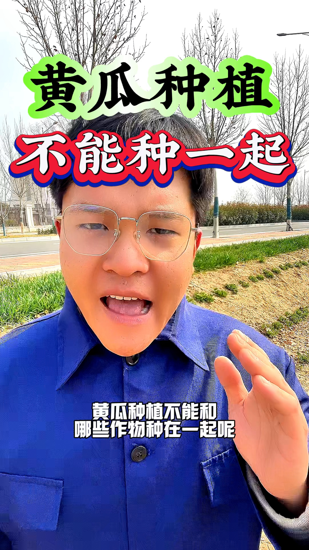 黄瓜种植中不能和什么作物种在一起呢?